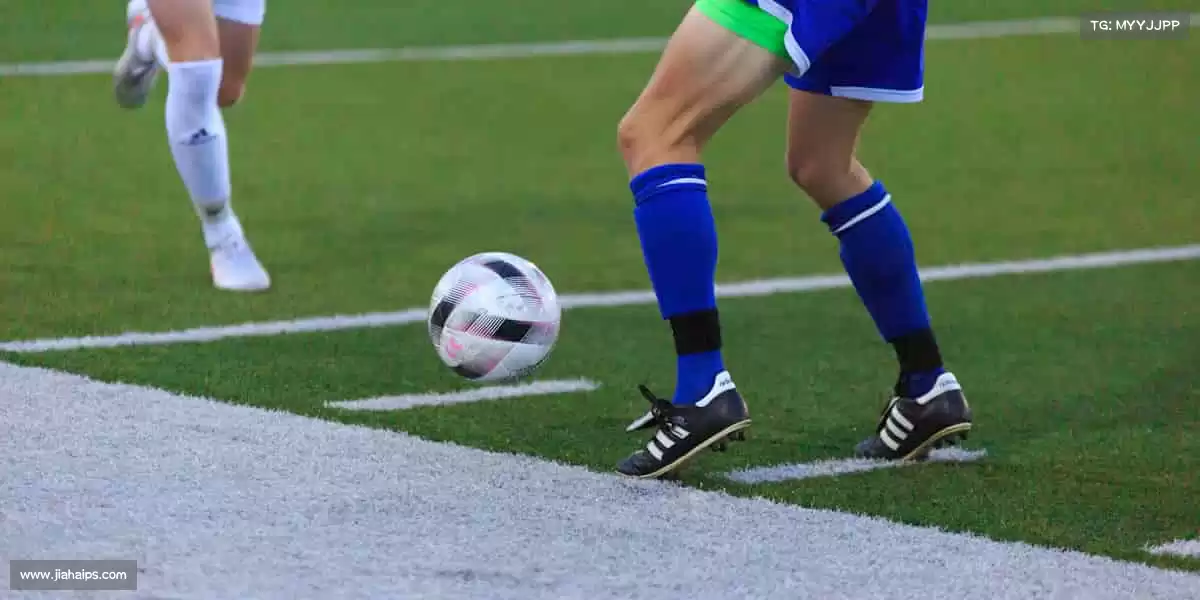 行业领先的理由